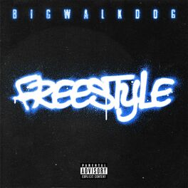 Album cover of Freestyle