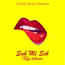 Album cover of Suh Mi Se