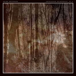 Album cover of Untouched Rainforest, Pt.3