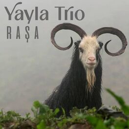 Album cover of Raşa
