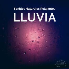 Album cover of Sonidos Naturales Relajantes: Lluvia