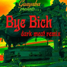 Album cover of Bye Bich
