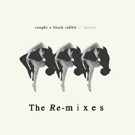 Album cover of Caught a Black Rabbit - The Remixes