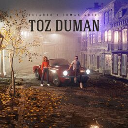 Album cover of Toz Duman