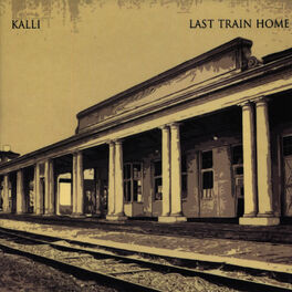 Album cover of Last Train Home