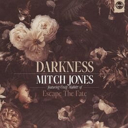 Album cover of Darkness (feat. Craig Mabbitt)