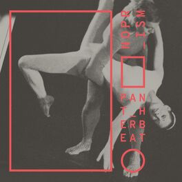 Album cover of Pantherbeat