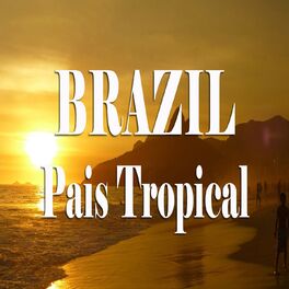 Album cover of The Best Of Brasil Music (País Tropical)
