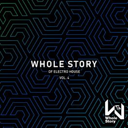 Album cover of Whole Story Of Electro House Vol. 4