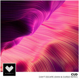Album cover of Can't Escape (SHX4 & Curdz Remix)