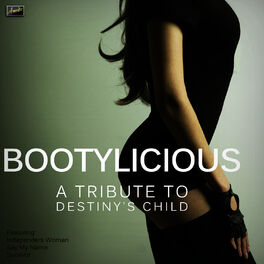 Album cover of Bootylicious - A Tribute to Destiny's Child
