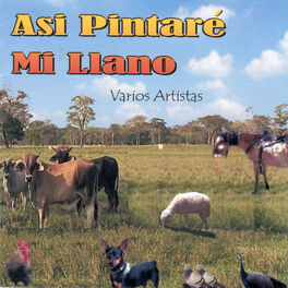 Album cover of Así Pintaré Mi Llano