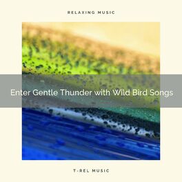 Album cover of ! ! ! ! ! ! Enter Gentle Thunder with Wild Bird Songs