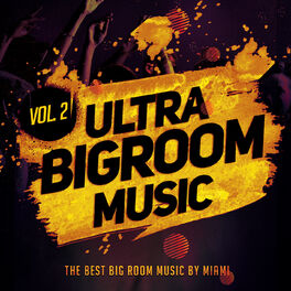 Album cover of Ultra Bigroom Music, Vol. 2