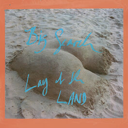 Album cover of Lay Of The Land