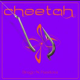 Album cover of Cheetah (feat. pandora)