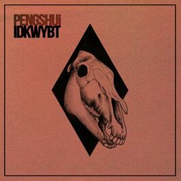 Album cover of IDKWYBT