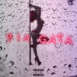 Album cover of Pia Gata