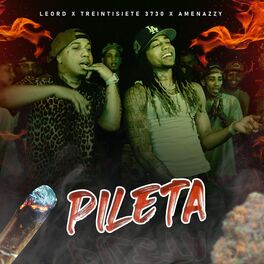 Album cover of Pileta