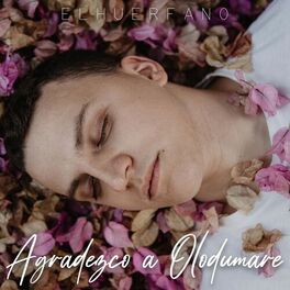 Album cover of Agradezco A Olodumare