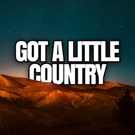 Album cover of Got a Little Country