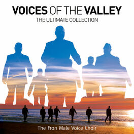 Album cover of Voices Of The Valley: The Ultimate Collection (Standard CD)