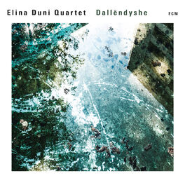 Album cover of Dallëndyshe