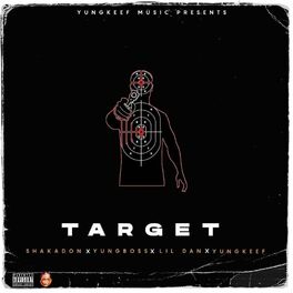 Album cover of Target (feat. Shakadon, Yungboss & Lil Dan)