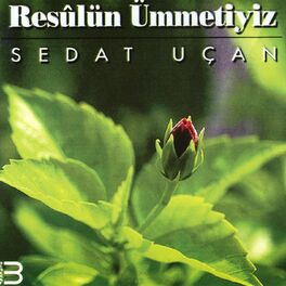 Album cover of Resul'ün Ümmetiyiz