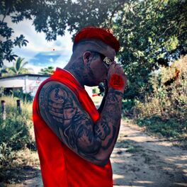 Album cover of Lento pero seguro