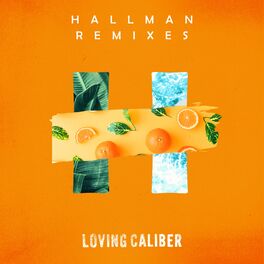 Album cover of Hallman Remixes