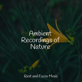Album cover of Ambient Recordings of Nature