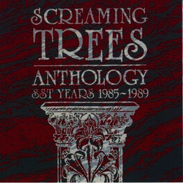Album cover of Anthology: SST Years 1985-1989