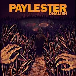 Album cover of The Watchers