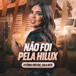 Album cover of Não Foi Pela Hilux