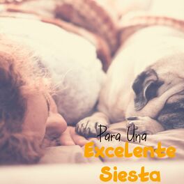 Album cover of Para Una Excelente Siesta