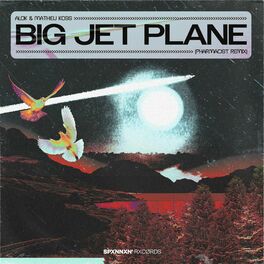 Album cover of Big Jet Plane (Pharmacist Remix)