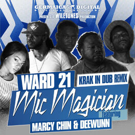 Album cover of Mic Magician