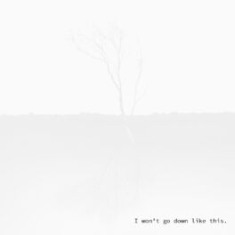 Album cover of I Won't Go Down Like This