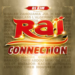 Album cover of DJ Kim présente Raï Connection