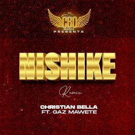 Album cover of Nishike (Remix)