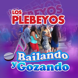 Album cover of Bailando Y Gozando