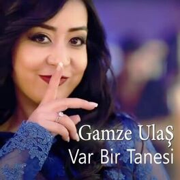Album cover of Var Bir Tanesi