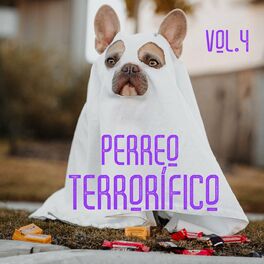 Album cover of Perreo, Halloween, Lego! Vol. 4