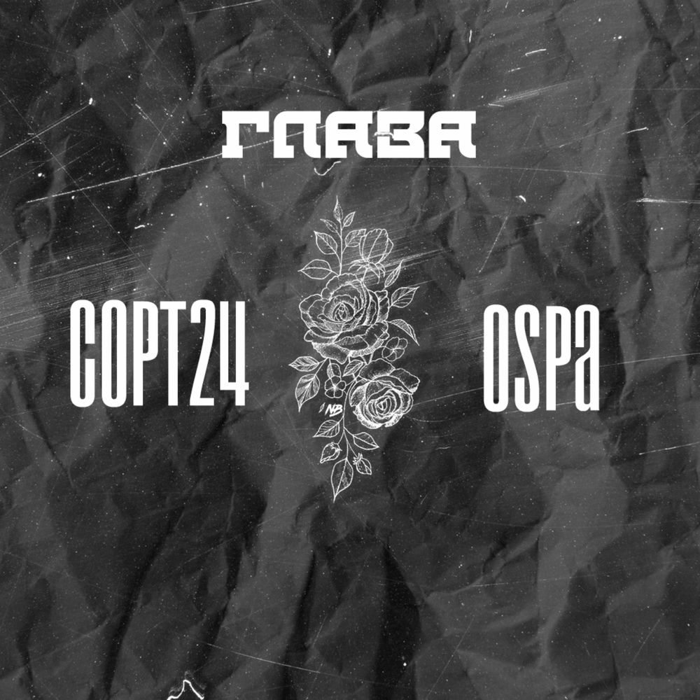 сорта песни