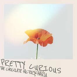 Album cover of Pretty Curious (feat. HARU)