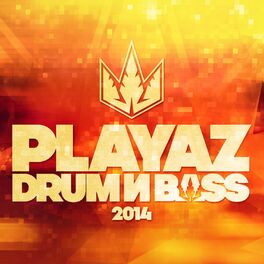 Album cover of Playaz Drum & Bass 2014