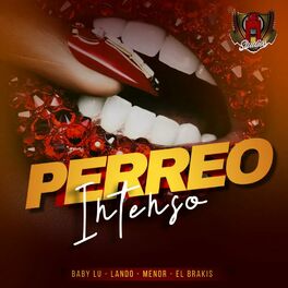 Album cover of Perreo Intenso (feat. Lando, Menor & El Brrakiis)