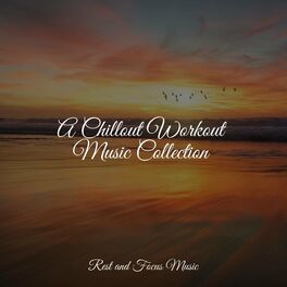 Album cover of A Chillout Workout Music Collection