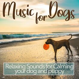Album cover of Music for Dogs - Relaxing Sounds for Calming Your Dog and Puppy